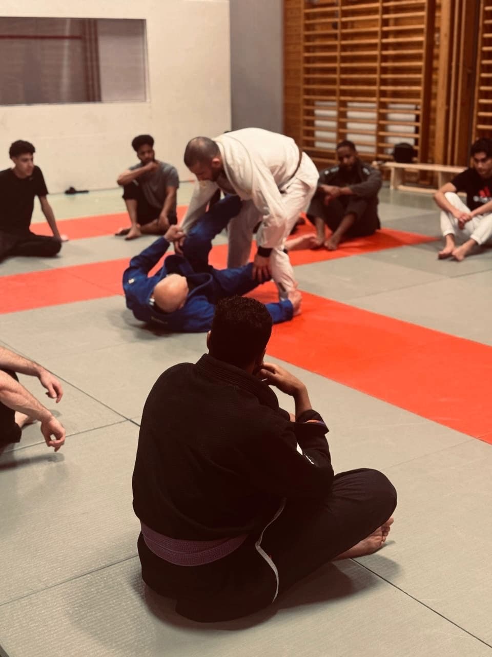 BJJ / NoGi