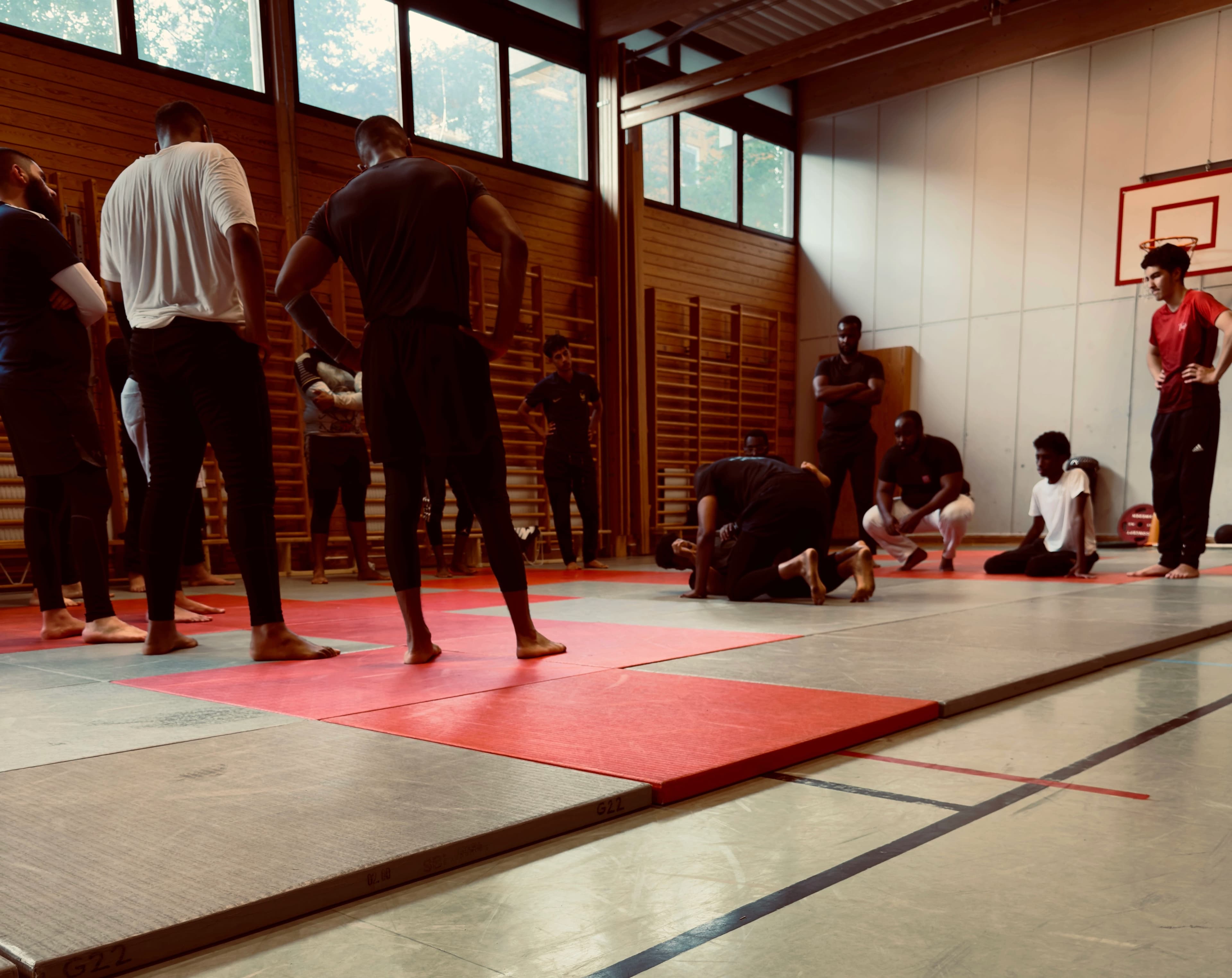 provtrana, by Vladislav Bychkov